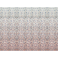 REVIGLASS SAPORI-MARACUYA