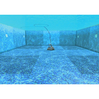 Robot DOLPHIN SF 60 CB