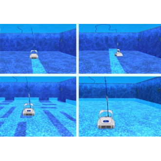 Robot DOLPHIN W20