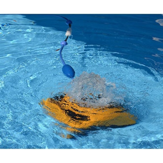 Robot DOLPHIN W20